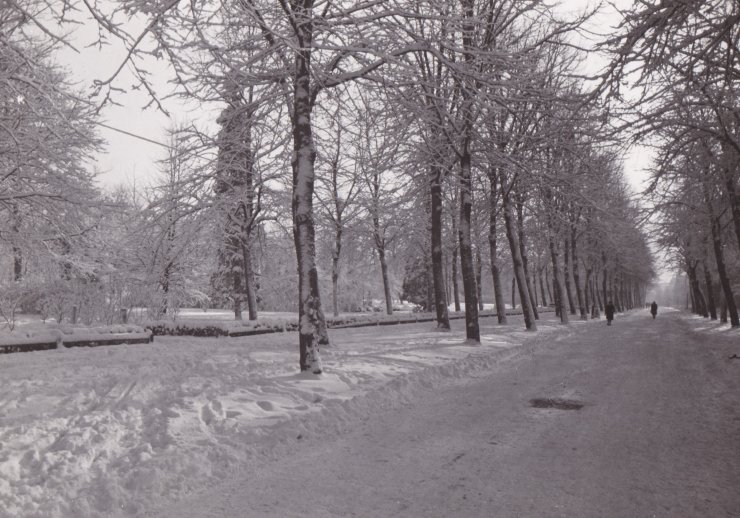 Ehem. Nordallee (heutige Adenauerallee) Winter 1952